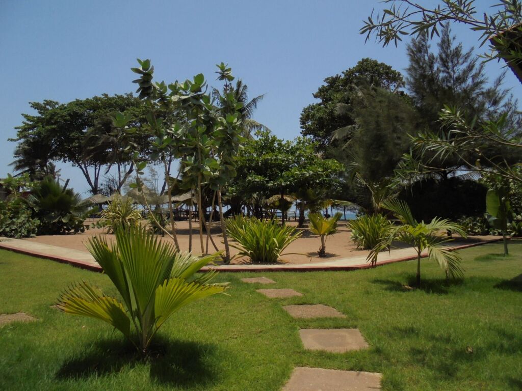 Image 10