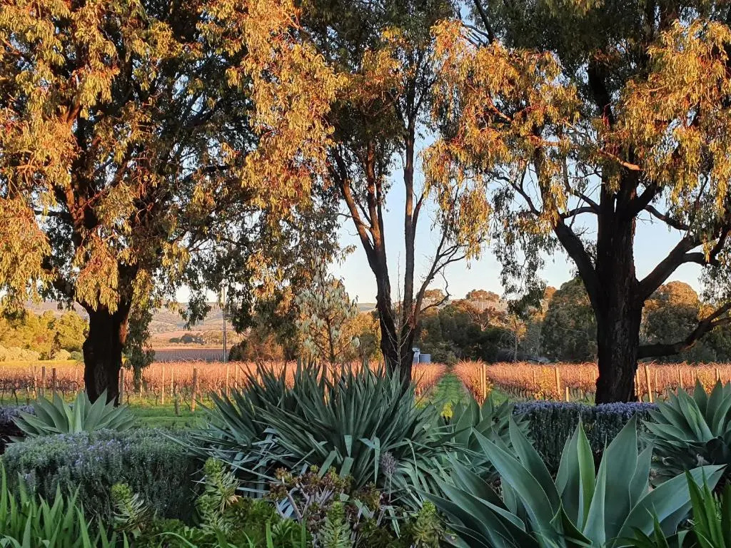 Linger Longer Vineyard Bed and Breakfast - Chambres