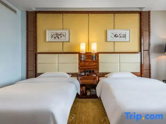 Premium Double room (twin beds)