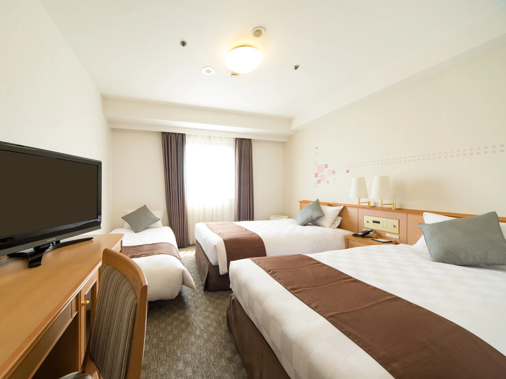 Standard Double room (twin beds)