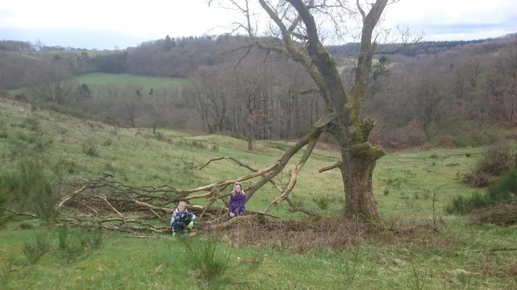 Egtved Hotel - фото 8