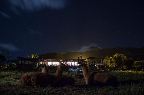 Hacienda El Rejo image