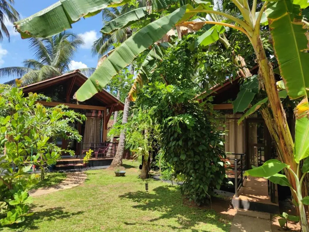 Mango Tree House - Chambres