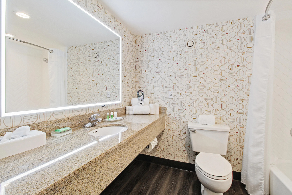 Holiday Inn Chicago Nw Crystal Lk Conv Ctr by IHG - Général