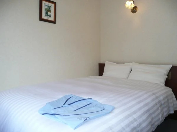 Ochanomizu St. HILLS HOTEL - Général