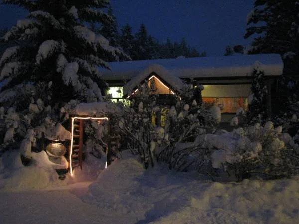 Pine Cones B&B