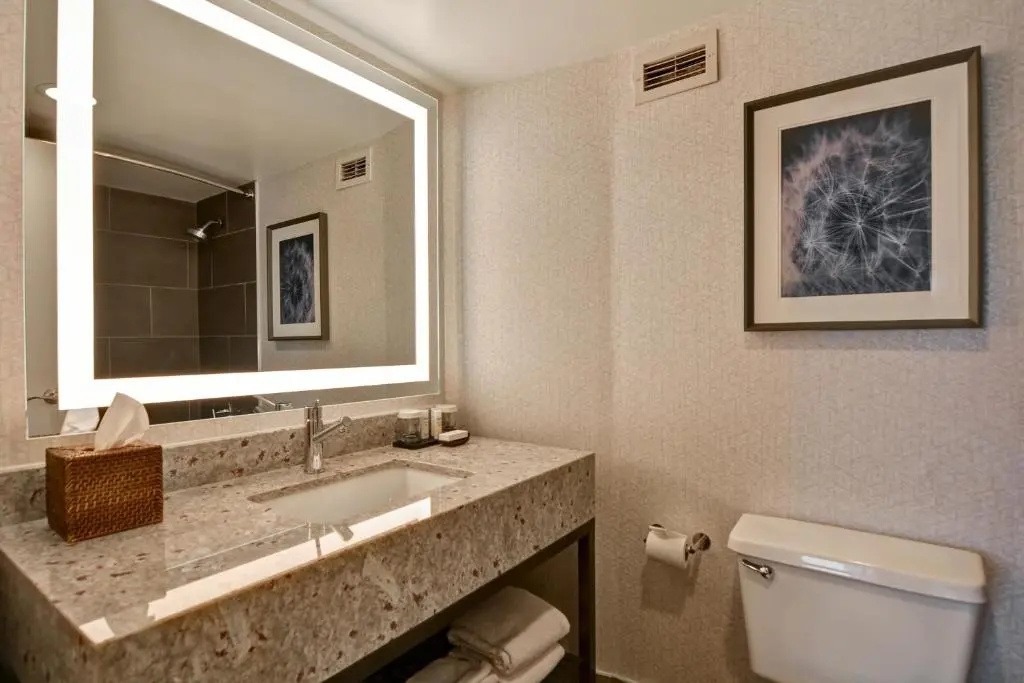 Embassy Suites by Hilton Minneapolis Airport - Chambres