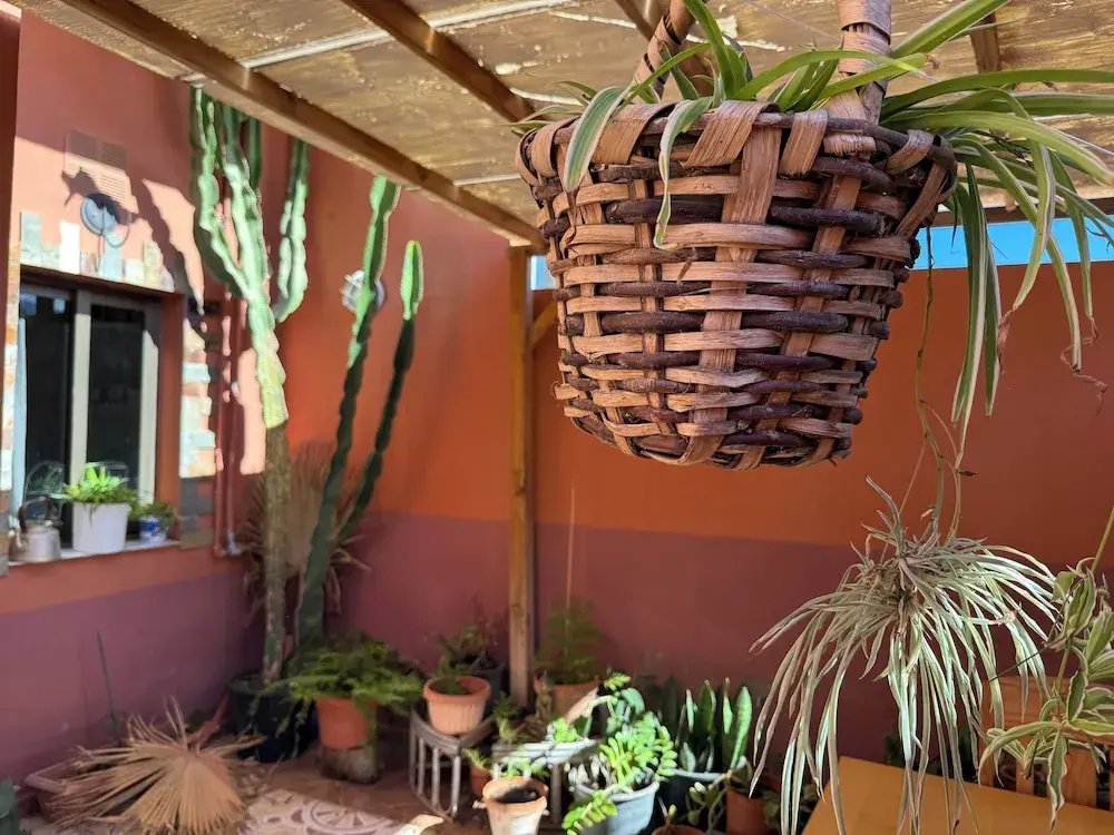 Madre Amada Accommodation Tenerife