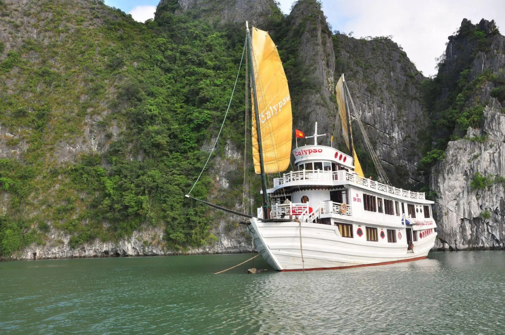 Calypso Cruise
