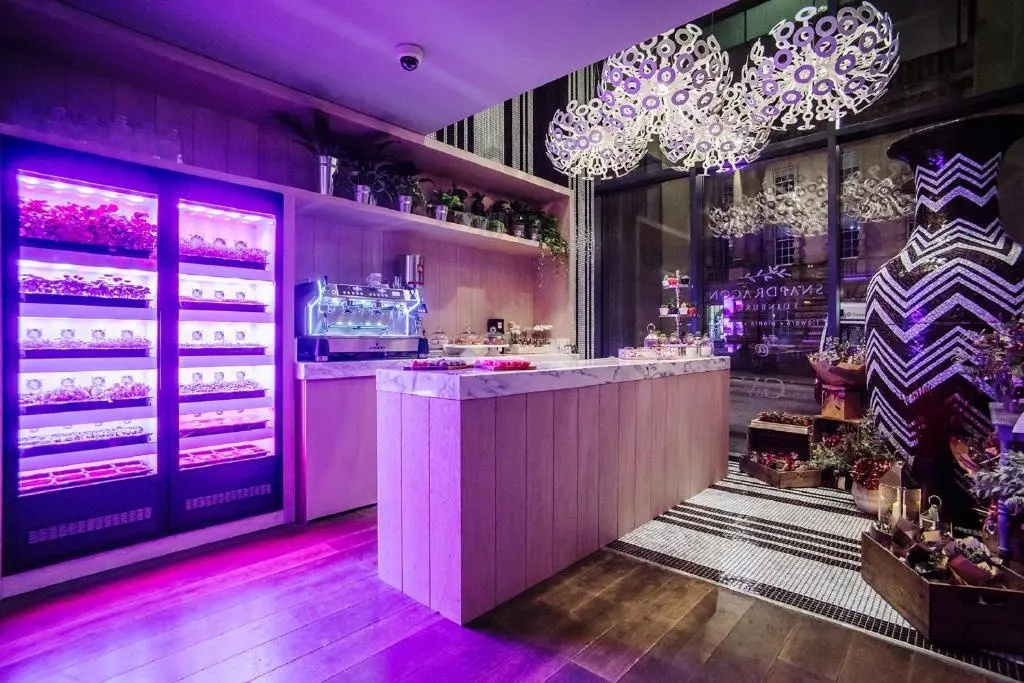 Radisson Collection Hotel, Royal Mile Edinburgh - Général
