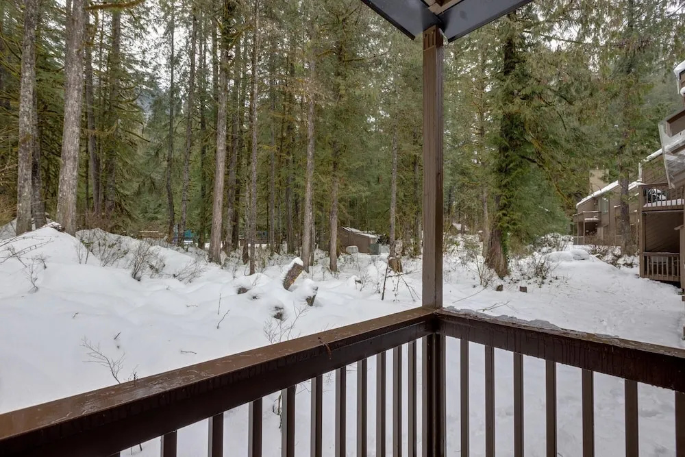 Mt Baker Lodging Condo 33 - Sleeps 4