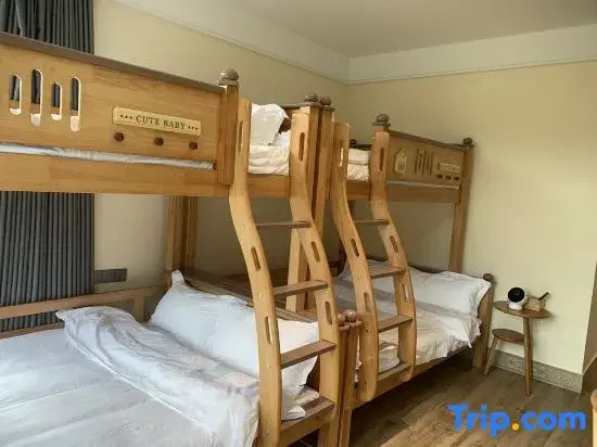 Standard Double Family room (bunk bed)
