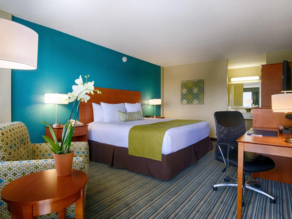 Palm Tree Club Miami Hotel - Chambres