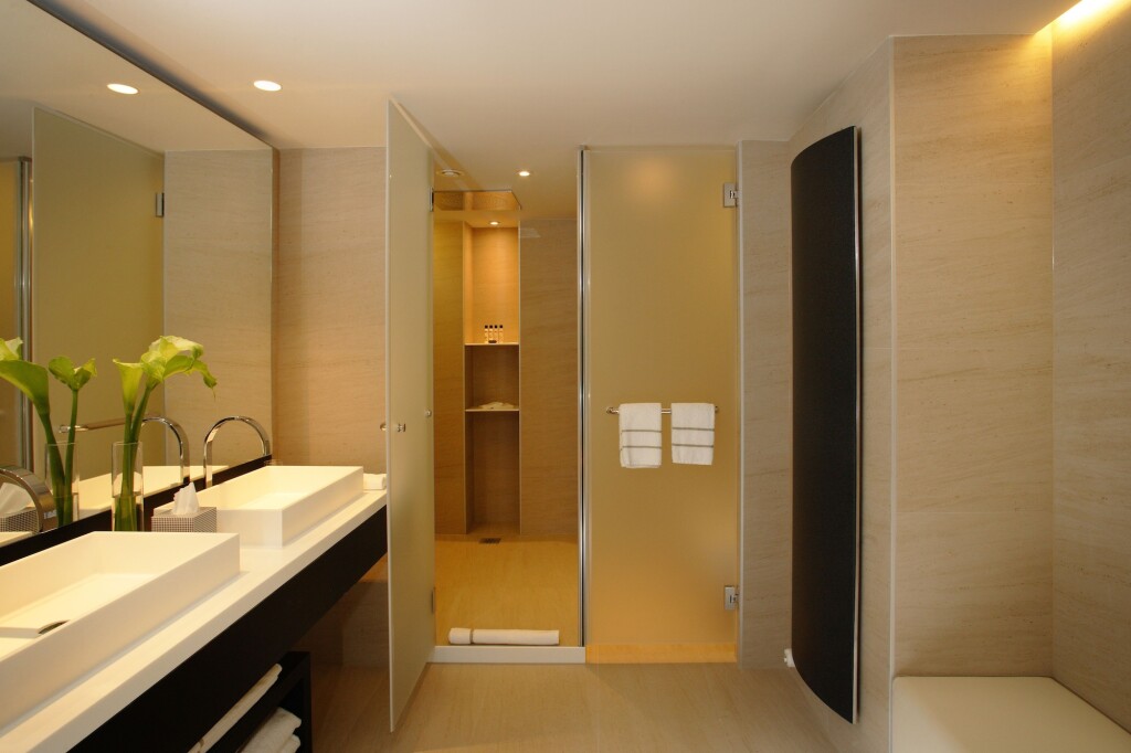 The Hotel picture