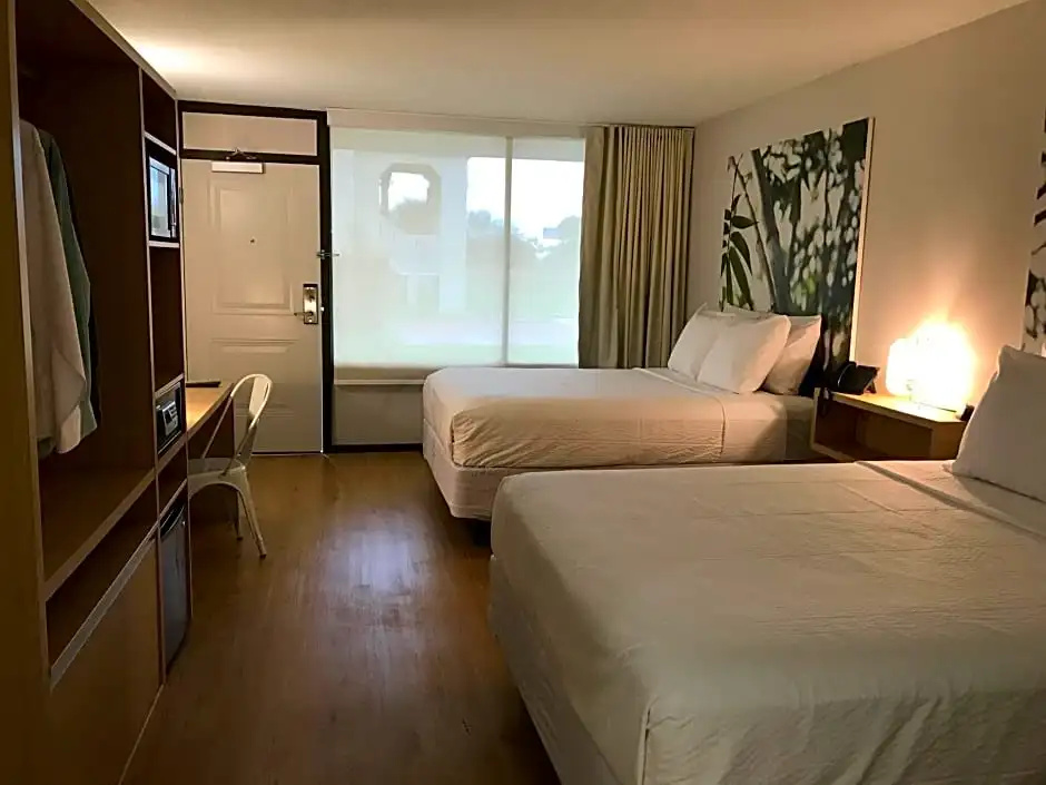 GreenPoint Hotel Kissimmee - Chambres