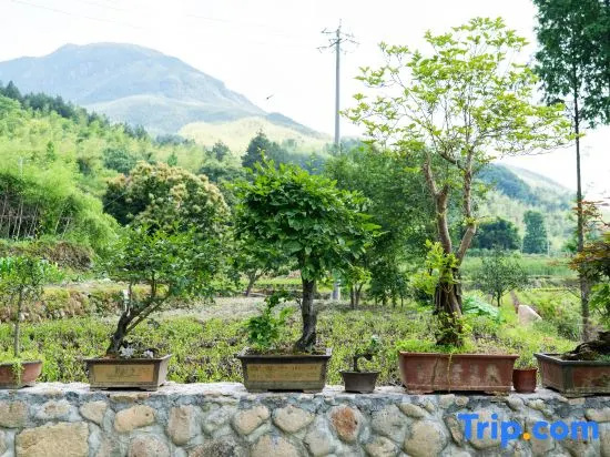 Anji Lezhuang Yashi Riverside Homestay Natural Swimming Pool | Family Vacation