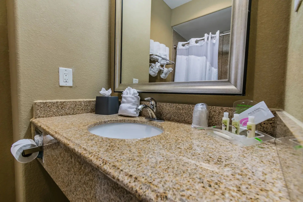 Holiday Inn Houston Webster by IHG - Général