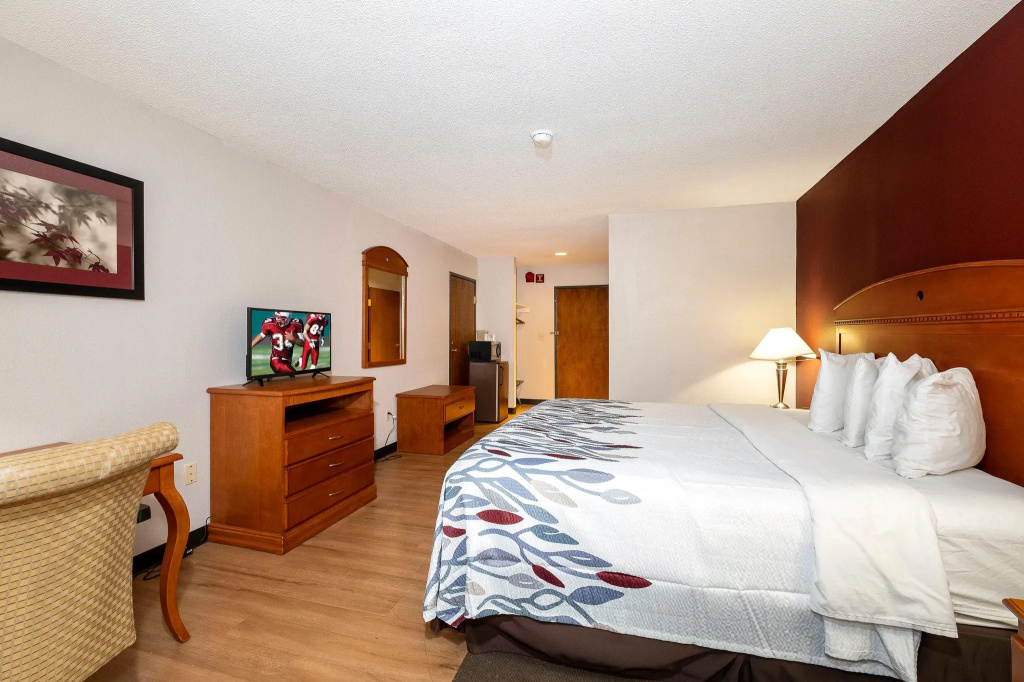 Standard Double room (full double bed)