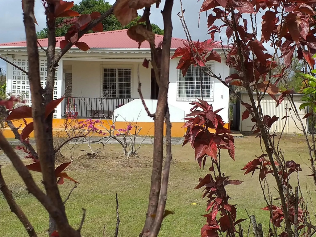 Kaz A Faup