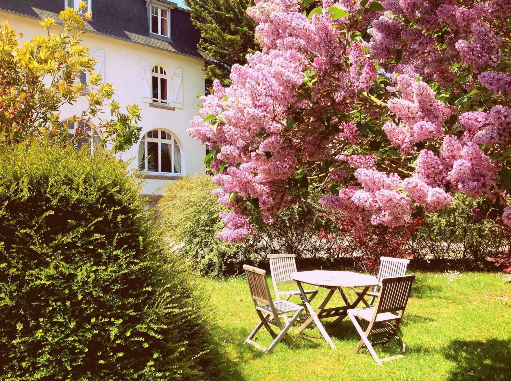 L'Escale Hôtel Bellevue - Général
