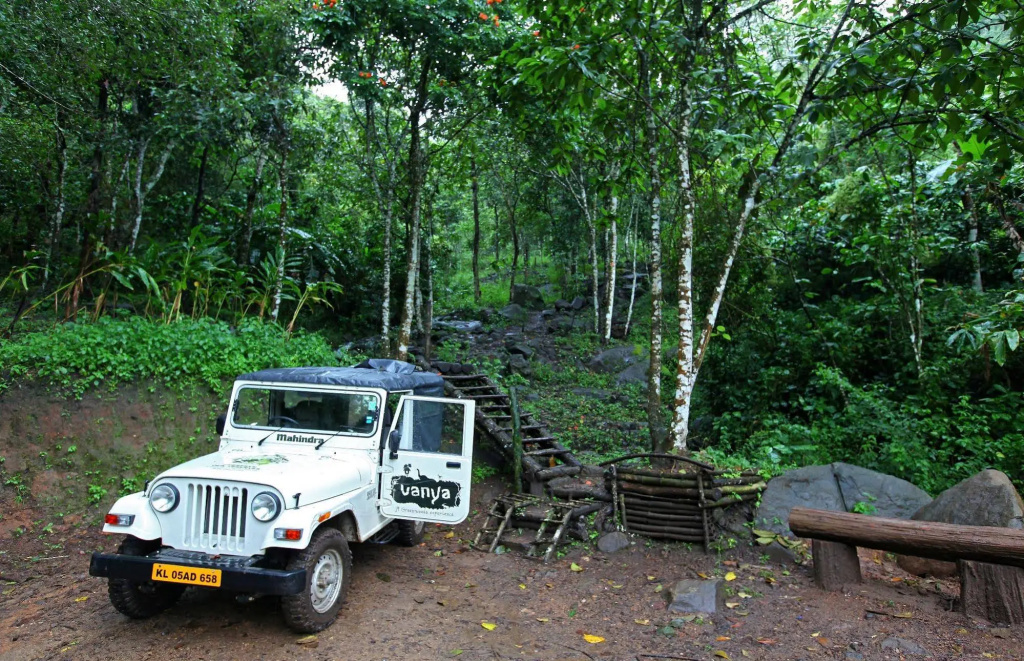 Vanya Tree House