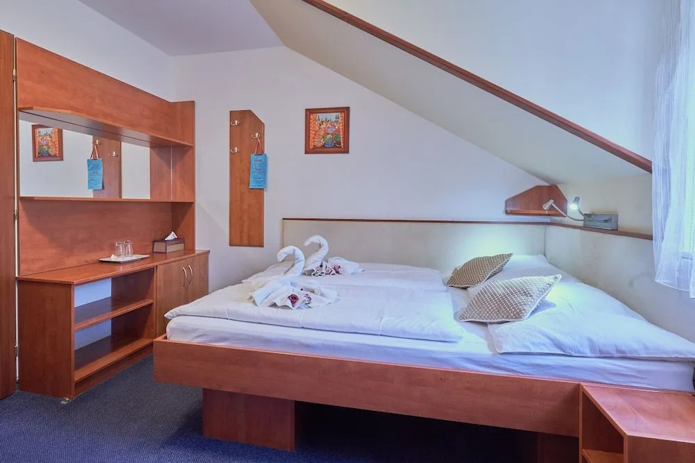 Francis Spa Hotel - Général