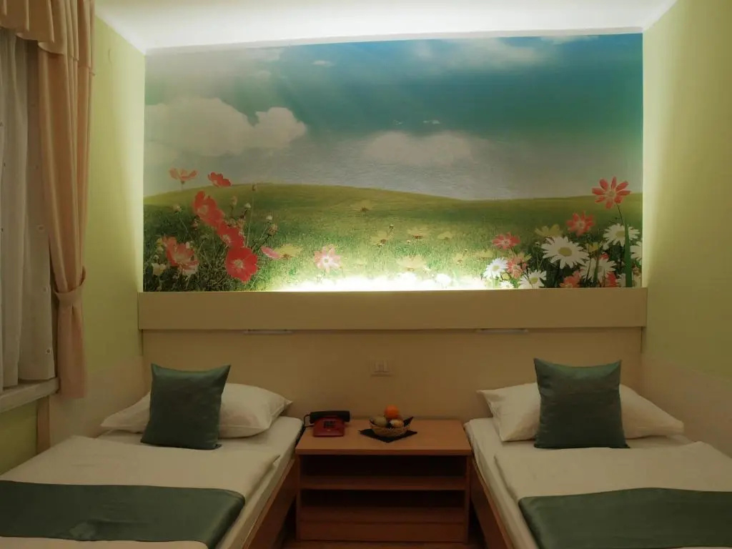 Standard Double room (full double bed)