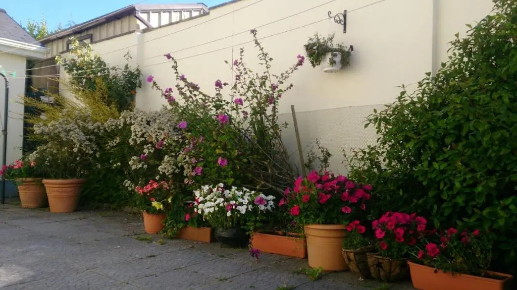 Seashore Lodge Guesthouse - Chambres
