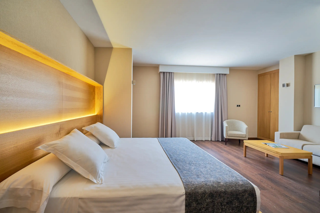 Hotel Guadalmedina - Général
