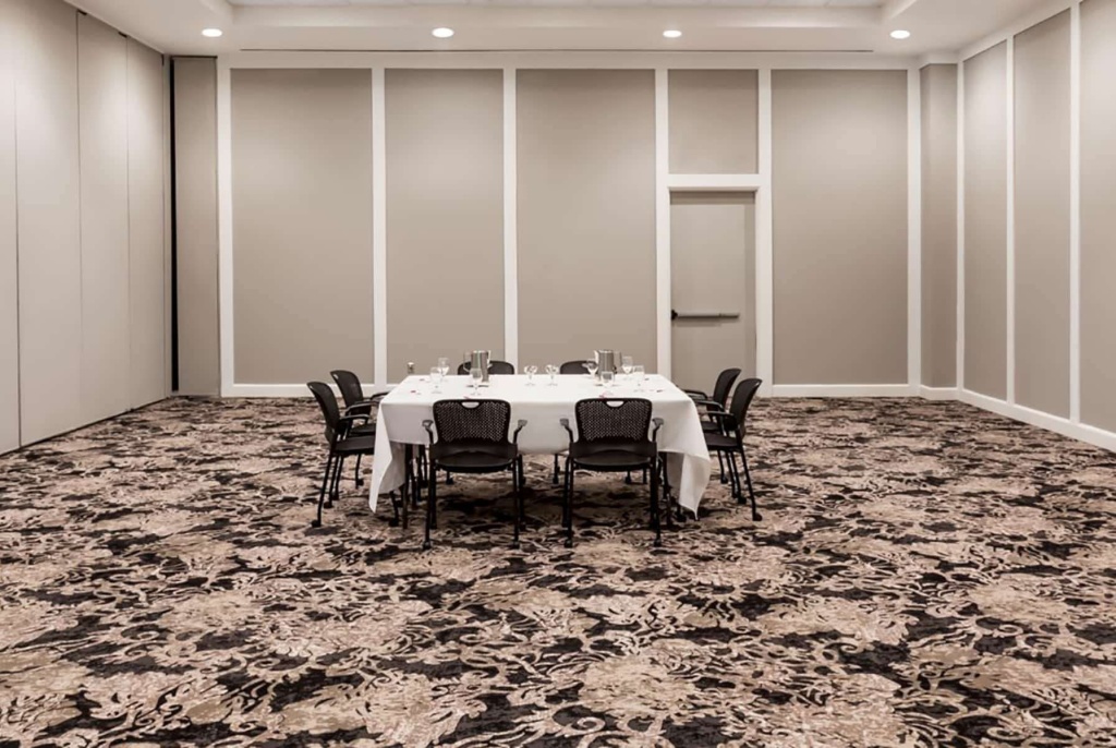 Wyndham Houston near NRG Park/Medical Center - Général