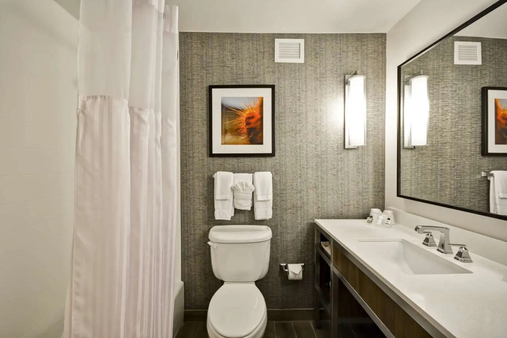 Hilton Garden Inn Austin/Round Rock - Chambres