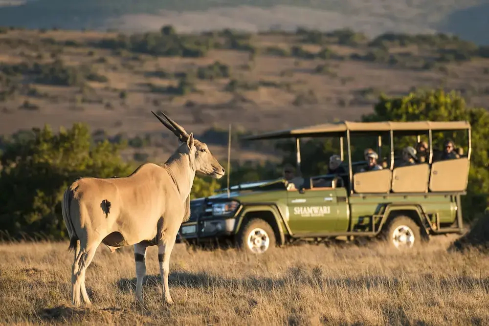 Shamwari Sarili Lodge - фото 45