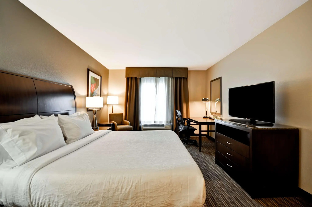 Hilton Garden Inn Tampa North Busch Gardens - Chambres