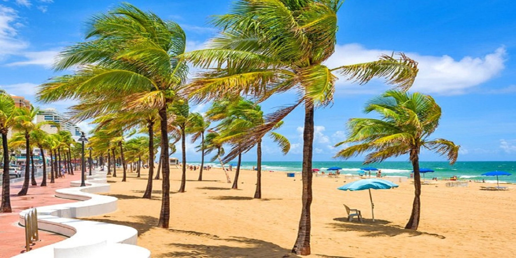 Crowne Plaza Hotel Fort Lauderdale Airport/Cruiseport by IHG - Général