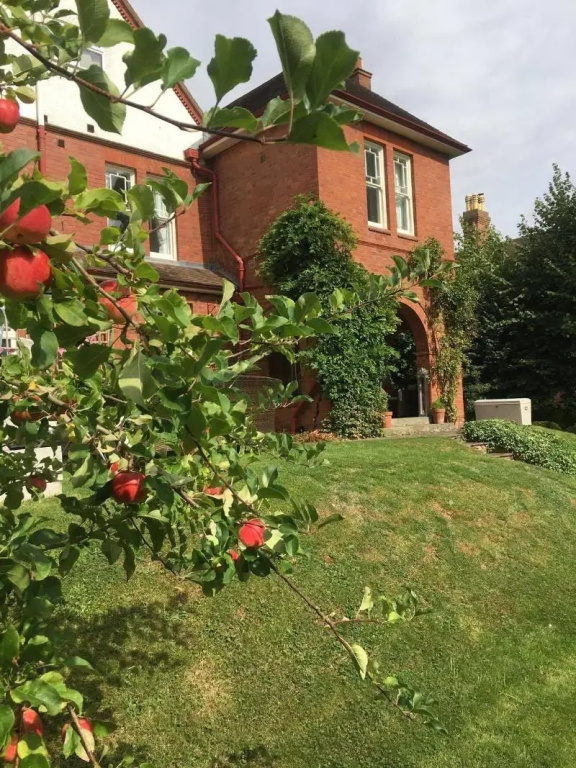 Copper Beech House