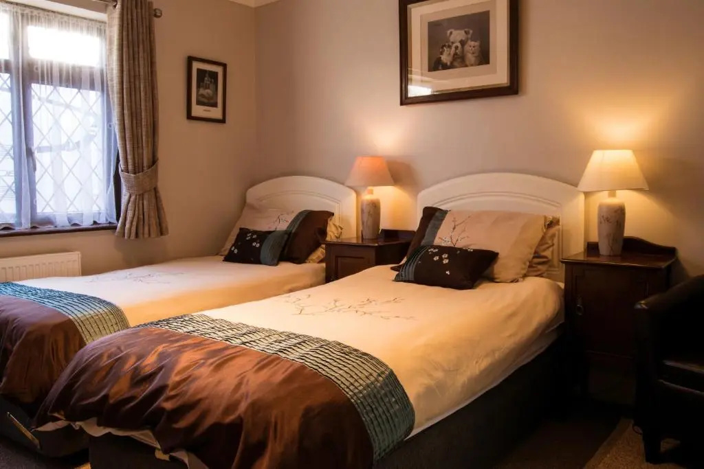Standard Double room (twin beds)