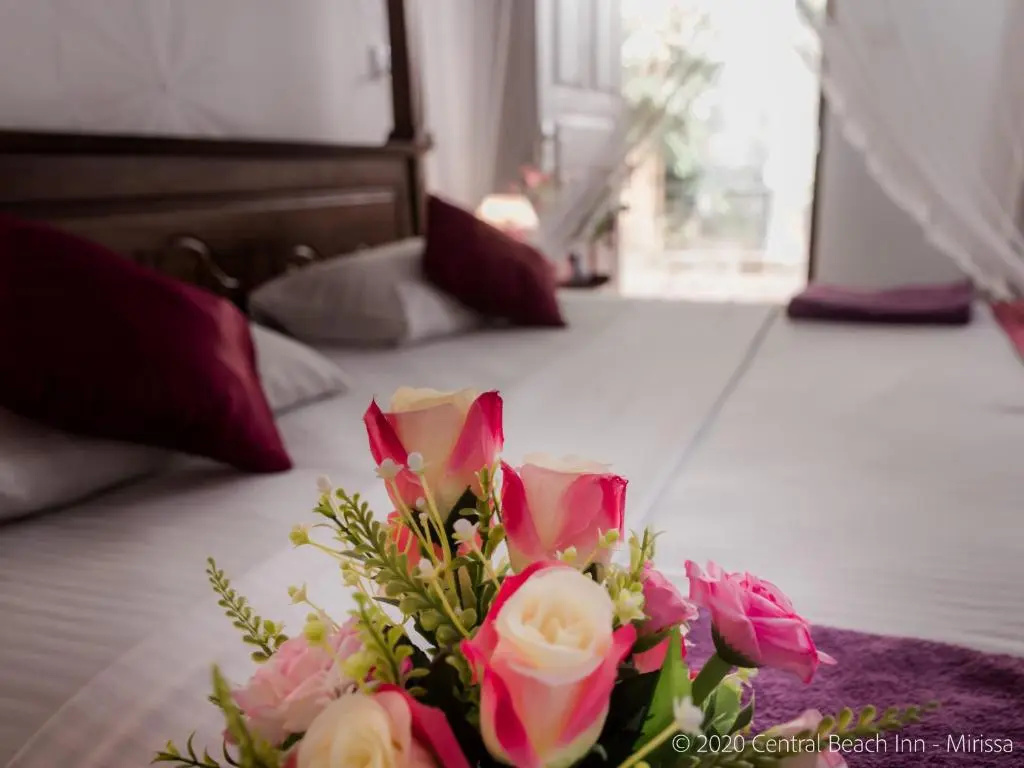 Deluxe Double room (full double bed)