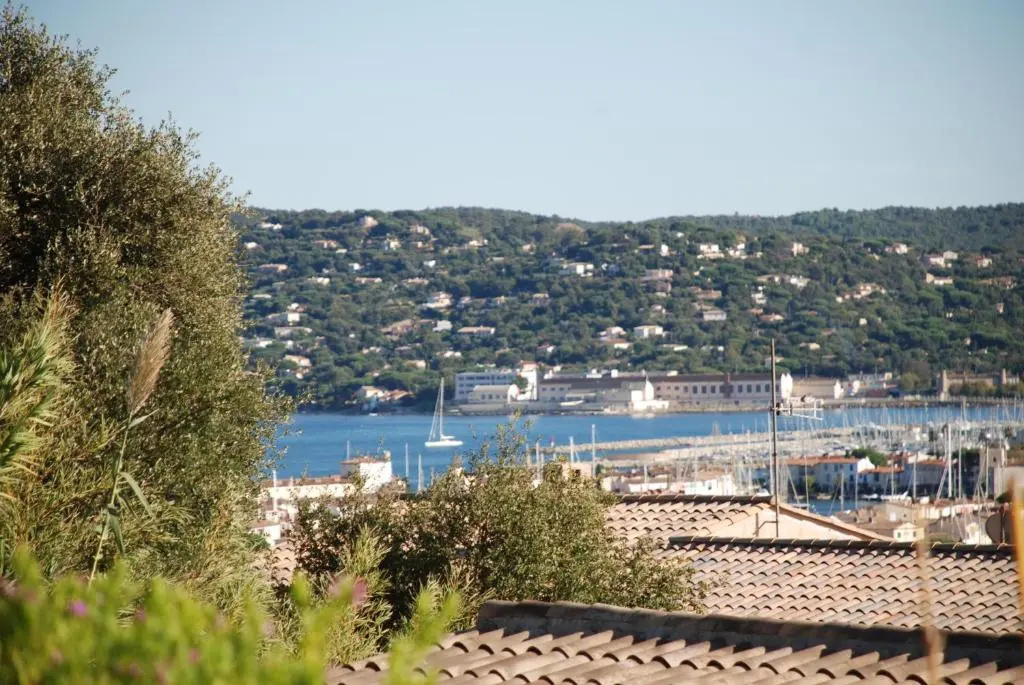 Beach & Waterfront