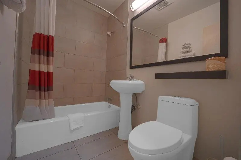 Standard Double room (twin beds)