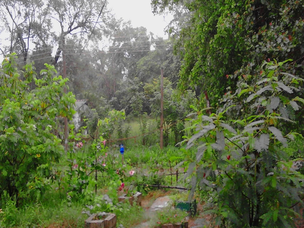 Sigiriya Vee Guest - фото 13