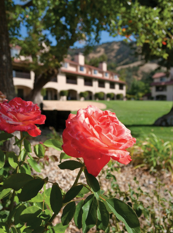 Hotel photo 47