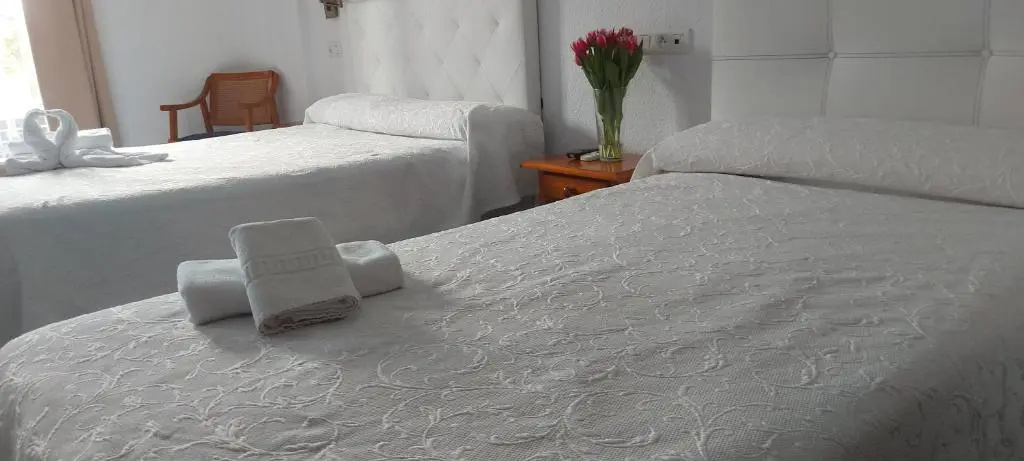 Standard Double room (twin beds)