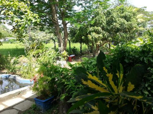 Hansika Guest Inn
