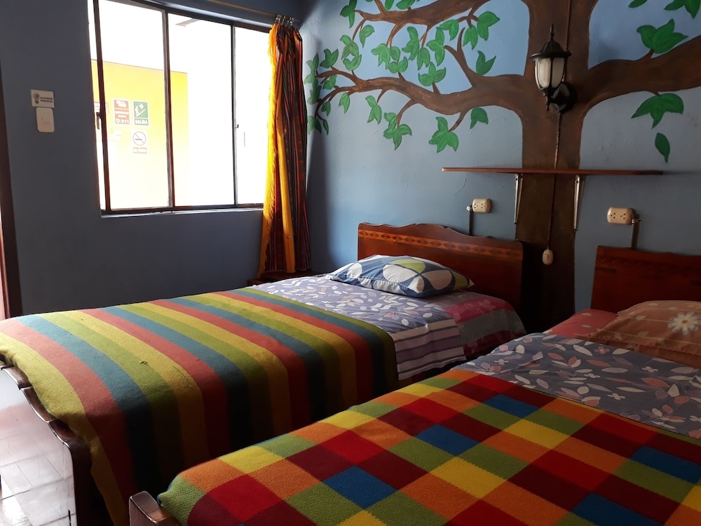 Hostal Transilvania — 5