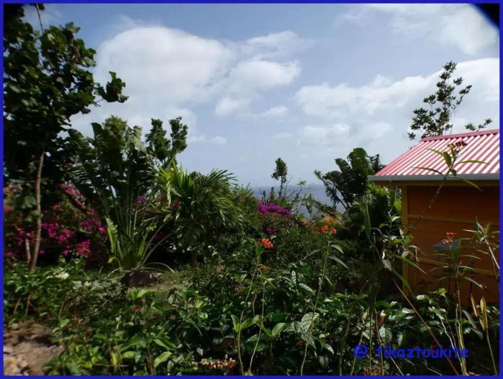 Hotel photo 40