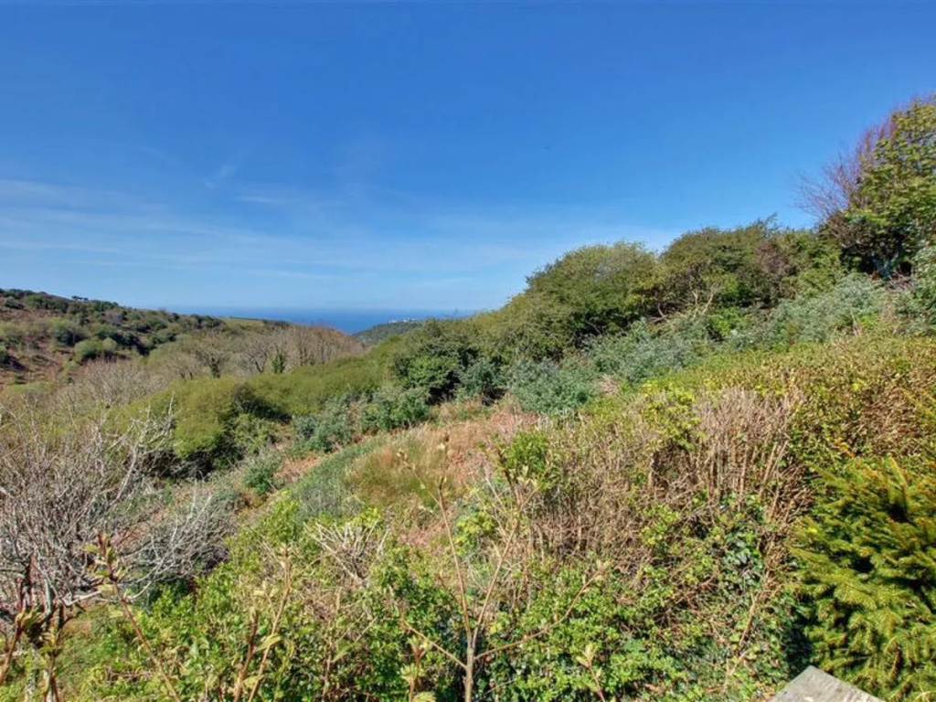 Little Valley 27847