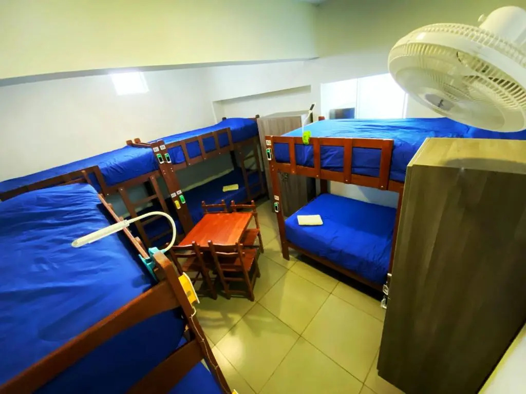 Bed in Dorm