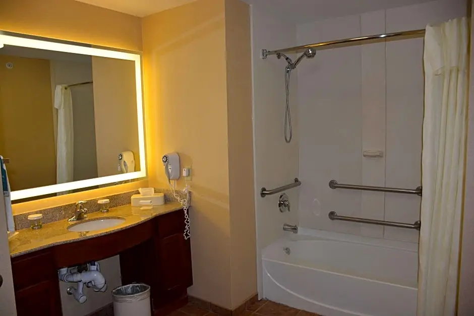 Homewood Suites by Hilton Brighton - Chambres