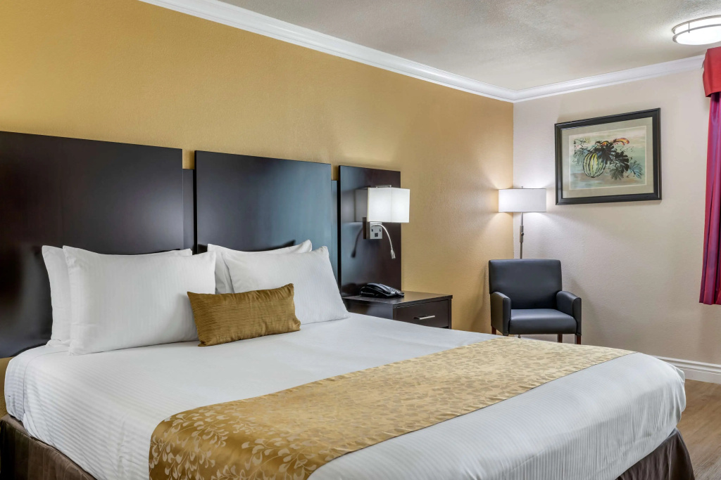 Best Western Plus South Bay Hotel - Général