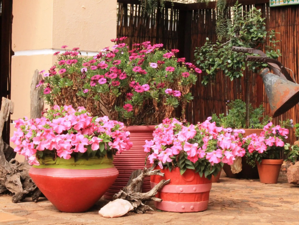 Birdsong Guest House - фото 12